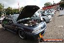 HSV Owners Club of NSW Show n Shine